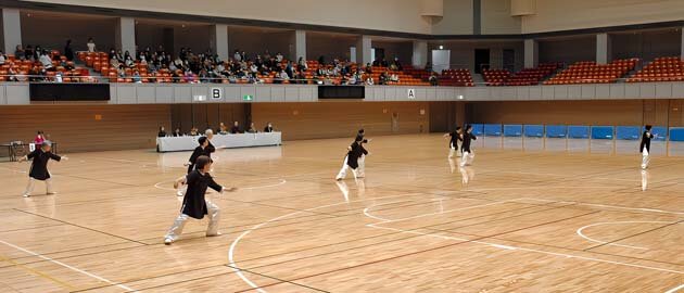 15 簡化24式太極拳 平塚市大原太極拳.jpg